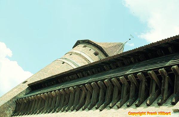 Lohnenswert ist ein Ausflug zur Burg in Allenstein.